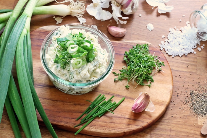 Frischkäse Dip mit Frühlingszwiebeln - Fashion Kitchen