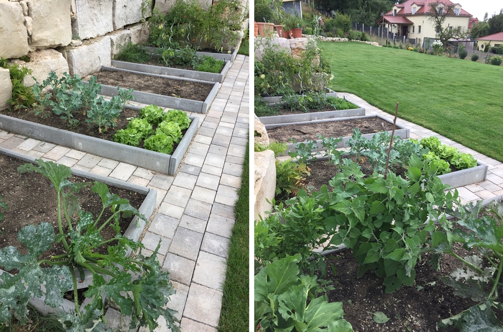 Gemüsebeete im Garten anlegen, bepflanzen & pflegen