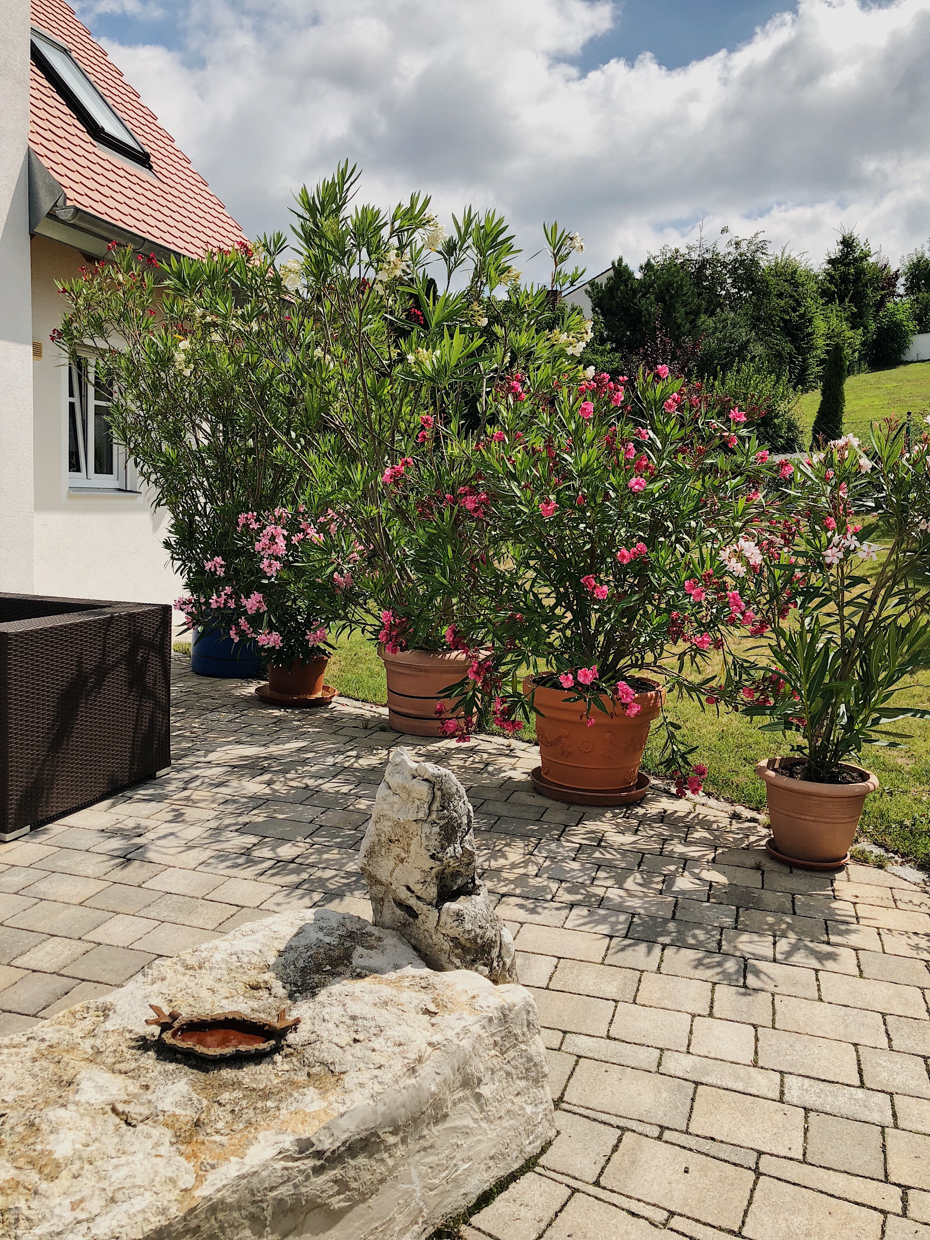 Eure Fragen zum Thema "Garten & Terrasse" - Teil II - Fashion Kitchen