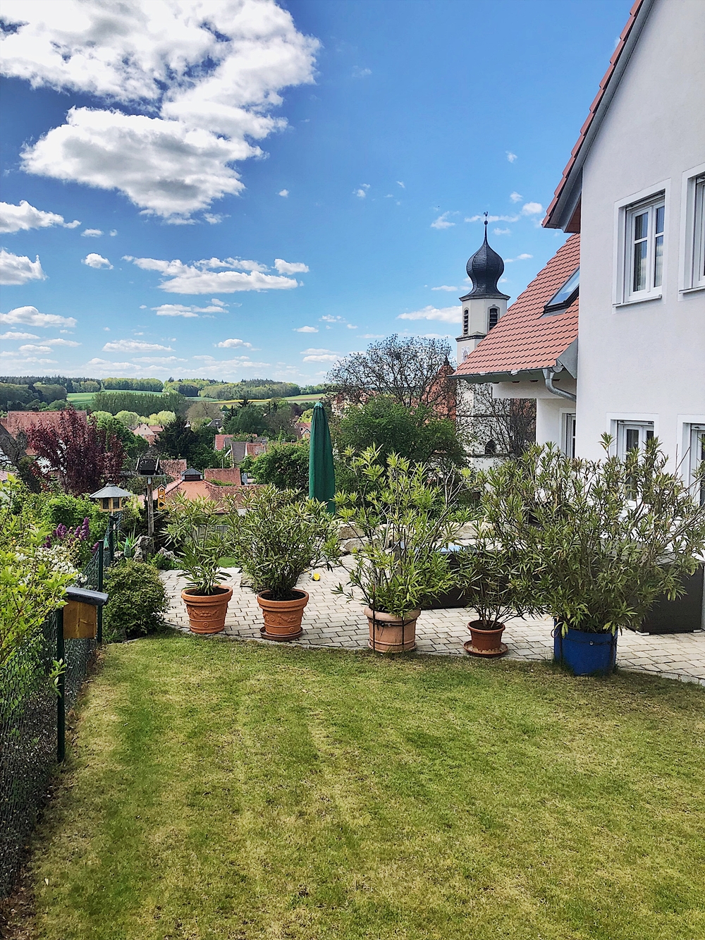 Oleander - pflegen, dngen, schneiden, berwintern - alle Tipps & Infos