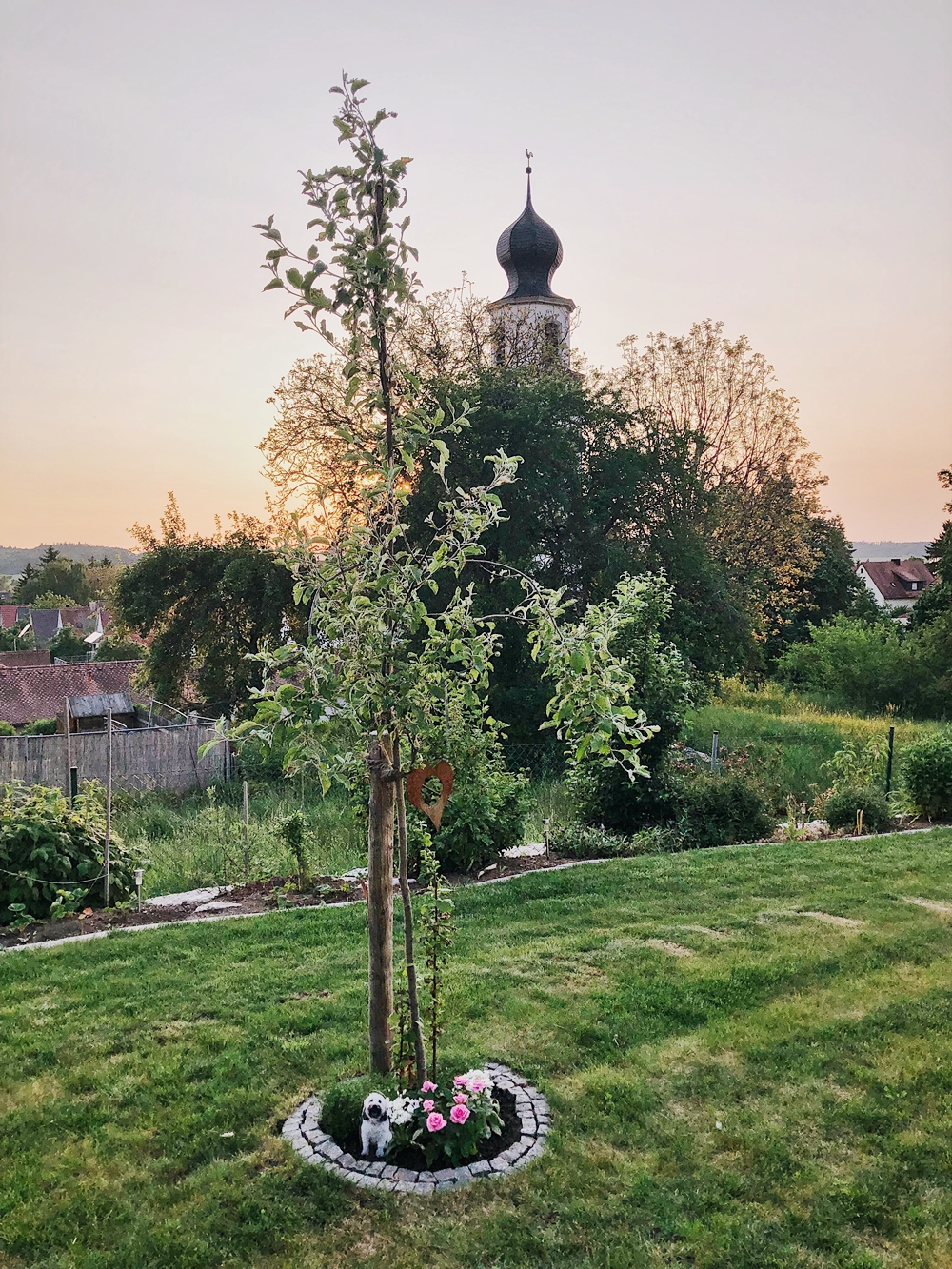 Ein Jahr ohne dich... Max Wuschelhund Tibet Terrier