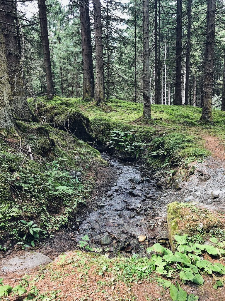 Das Goldberg in Bad Hofgastein-Österreich-Salzburg-Austria-Urlaub in den Bergen-Wellness-Spa-Ski fahren-wandern-Hohentauern-fashionkitchen-erfahrungsbericht