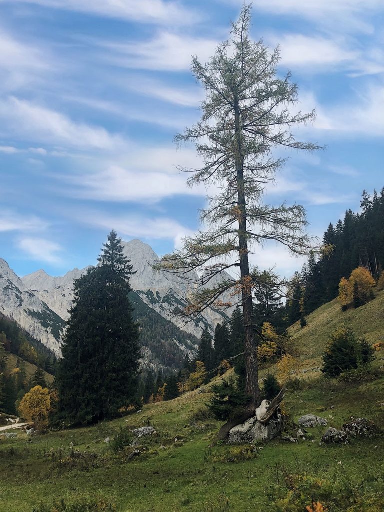 Chalet Bergdorf Priesteregg, Ausflug nach Hirschbichl Berchtesgaden, E-Bike Tour zur Riedlspitz, Mama Thresl & Huwi's Alm in Leogang - Österreich