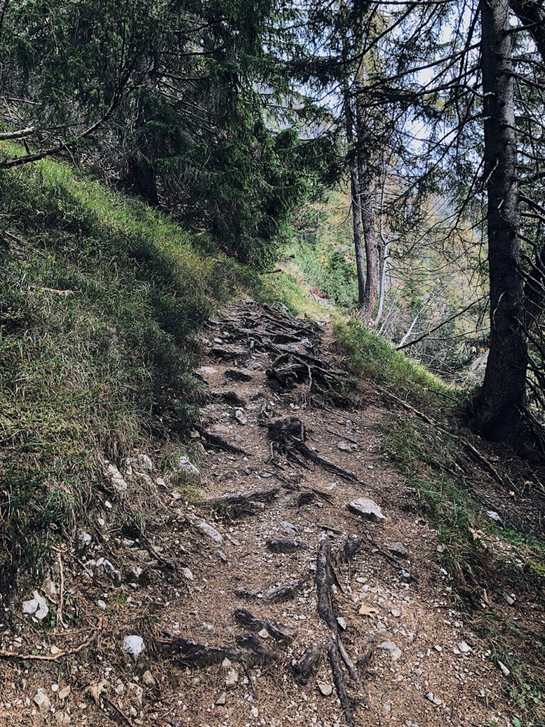 Chalet Bergdorf Priesteregg, Ausflug nach Hirschbichl Berchtesgaden, E-Bike Tour zur Riedlspitz, Mama Thresl & Huwi's Alm in Leogang - Österreich