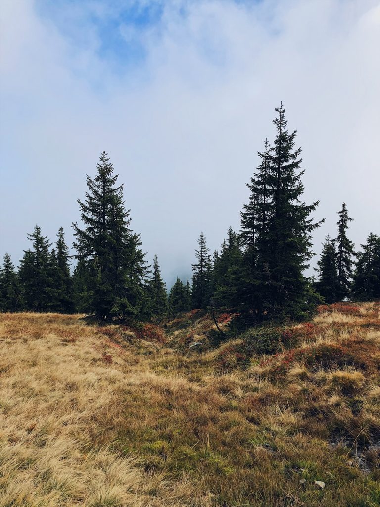 Holzhotel Forsthofalm, Asitz Panoramaweg & Schaubergwerk in Leogang - Österreich