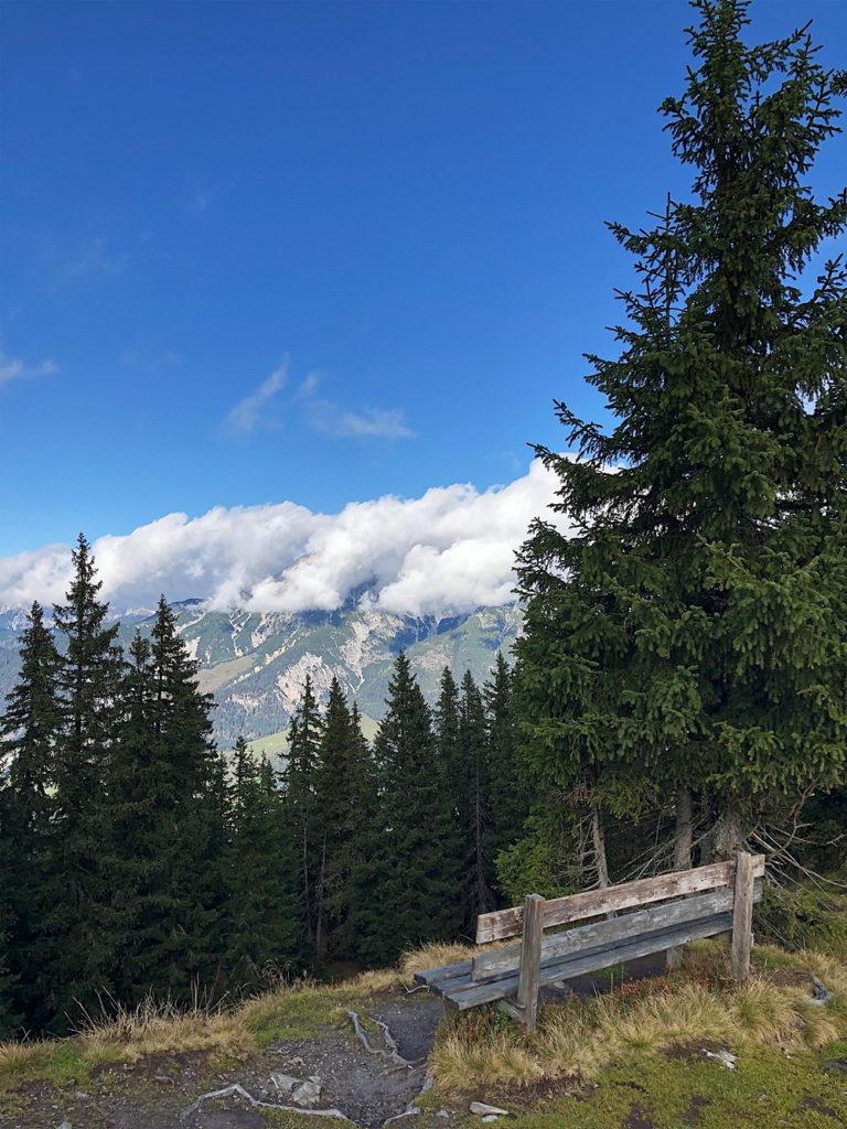 Holzhotel Forsthofalm, Asitz Panoramaweg & Schaubergwerk in Leogang - Österreich