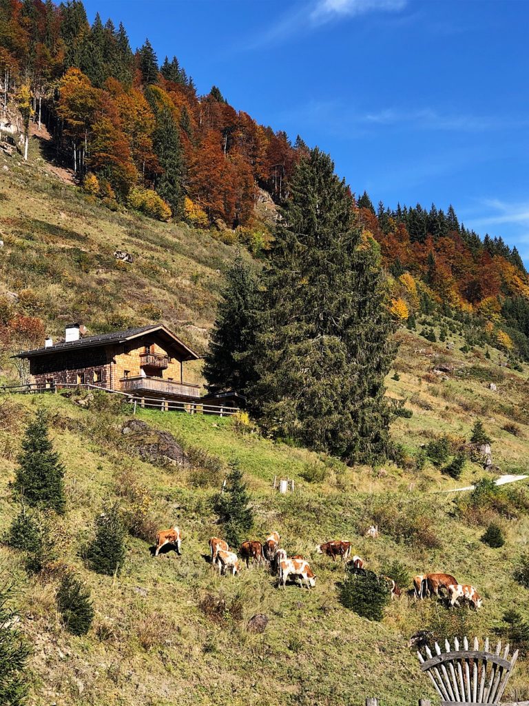 Holzhotel Forsthofalm, Asitz Panoramaweg & Schaubergwerk in Leogang - Österreich