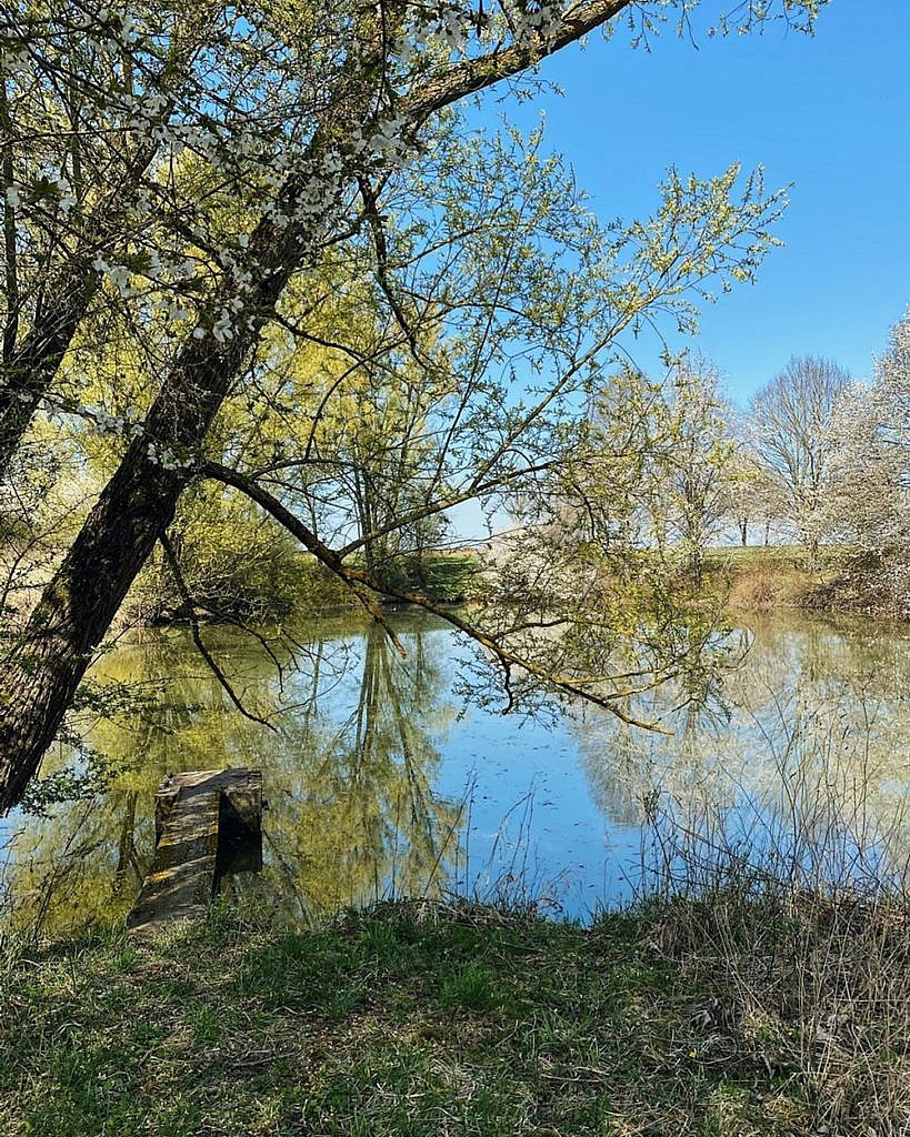 Life Update – April 2021