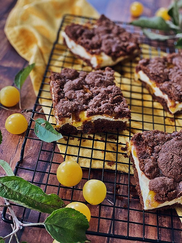 Brownie Cheesecake mit Schoko-Streusel und Ringlo/Aprikosen vom Blech