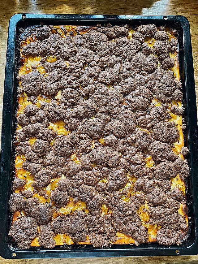 Brownie Cheesecake mit Schoko-Streusel und Ringlo/Aprikosen vom Blech