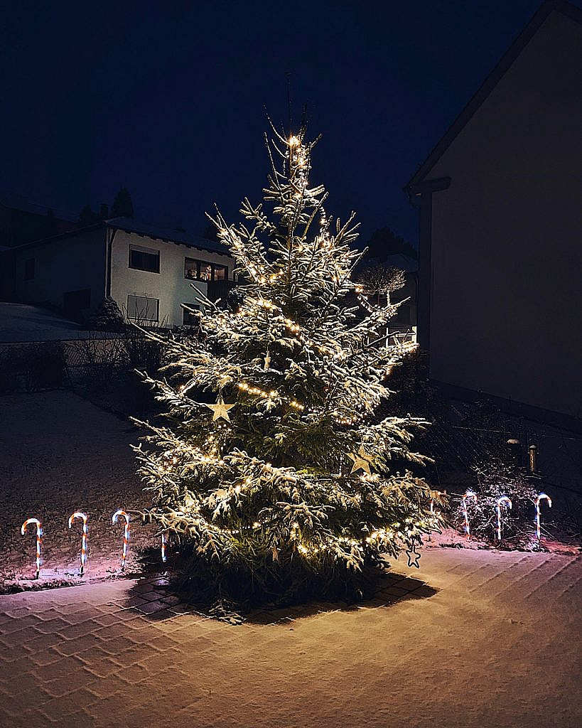 Meine Weihnachtsdekoration - Haustür, Treppengeländer, Wohnzimmer, Esszimmer und Garten