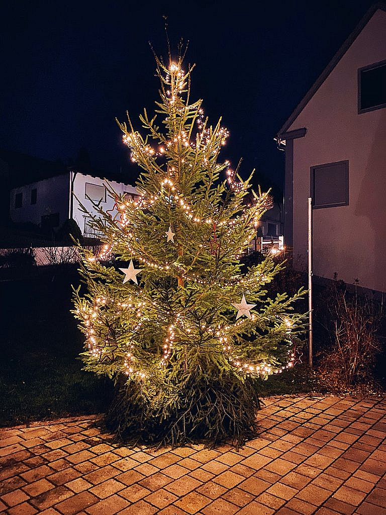 Meine Weihnachtsdekoration - Haustür, Treppengeländer, Wohnzimmer, Esszimmer und Garten